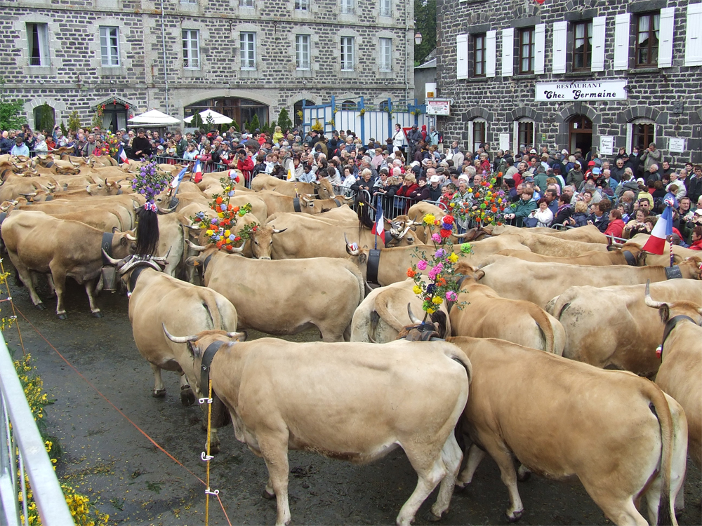 http://www.gitedecombes.fr/wp-content/uploads/vache.jpg